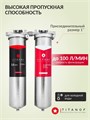 Двойной фильтр для колодца от железа и накипи ТИТАНОФ ТК 6000 Big blue 20 10508